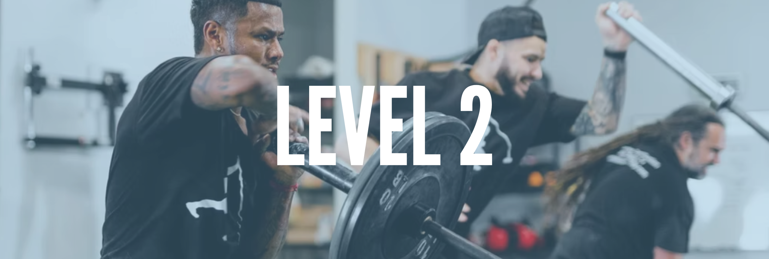 LANDMINE UNIVERSITY Lv.2